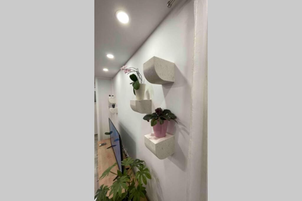 Luxury Apartman Bili Podgora Buitenkant foto